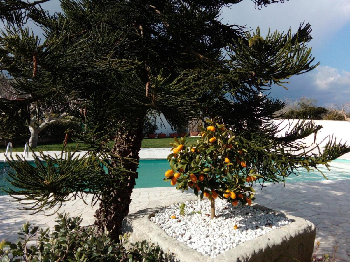 Casa Vacanza Augusto Uggiano la Chiesa Kültér fotó